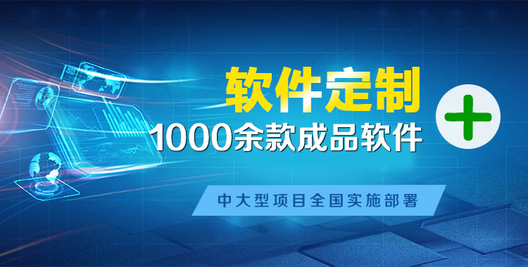 阳谷软件开发